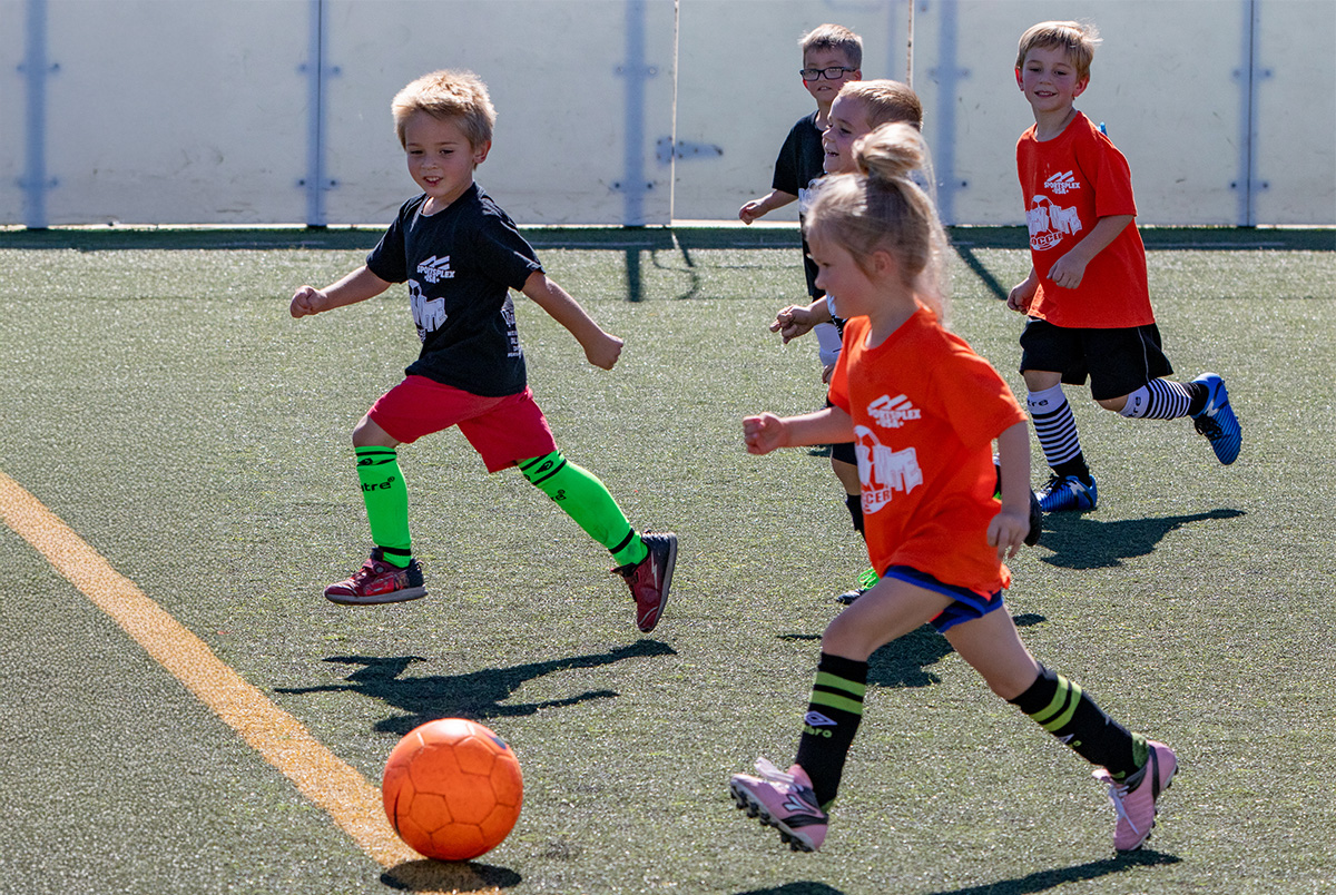 Youth Sports Signups